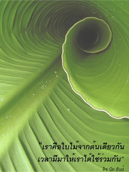 LEAF HOUSE: By Leaves We Live / บ้านใบไม้ — photo 3