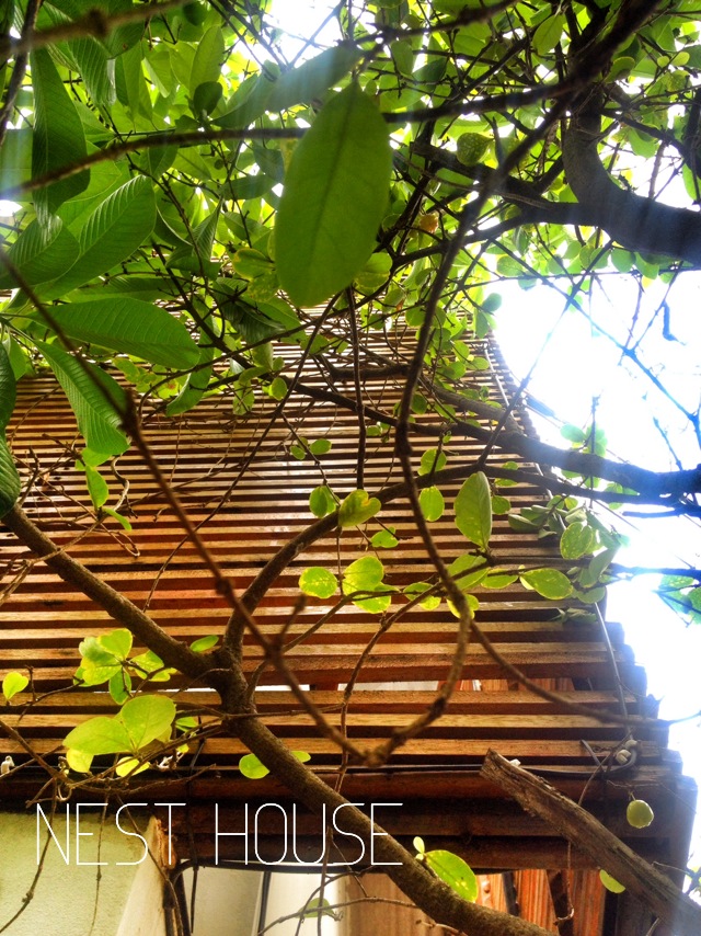 NEST HOUSE in BANGKOK 3