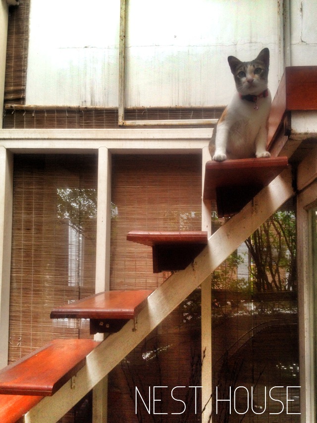 NEST HOUSE in BANGKOK 9